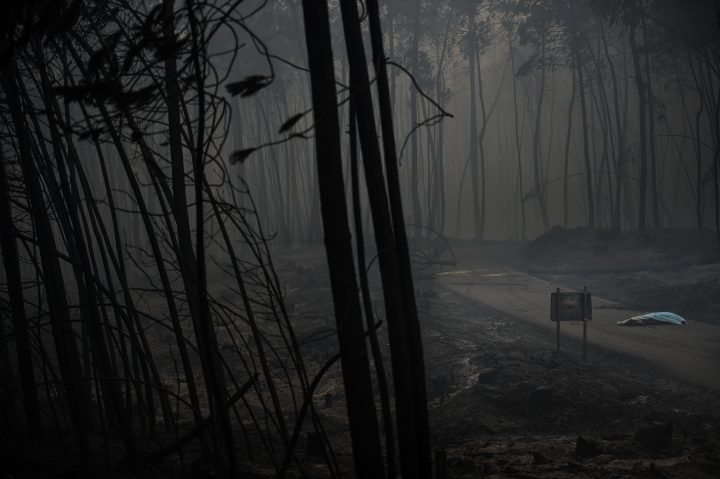 Patricia Melo Moreira-10